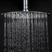 Shower Head